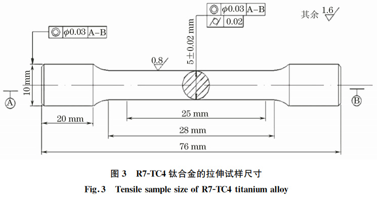 t3.jpg